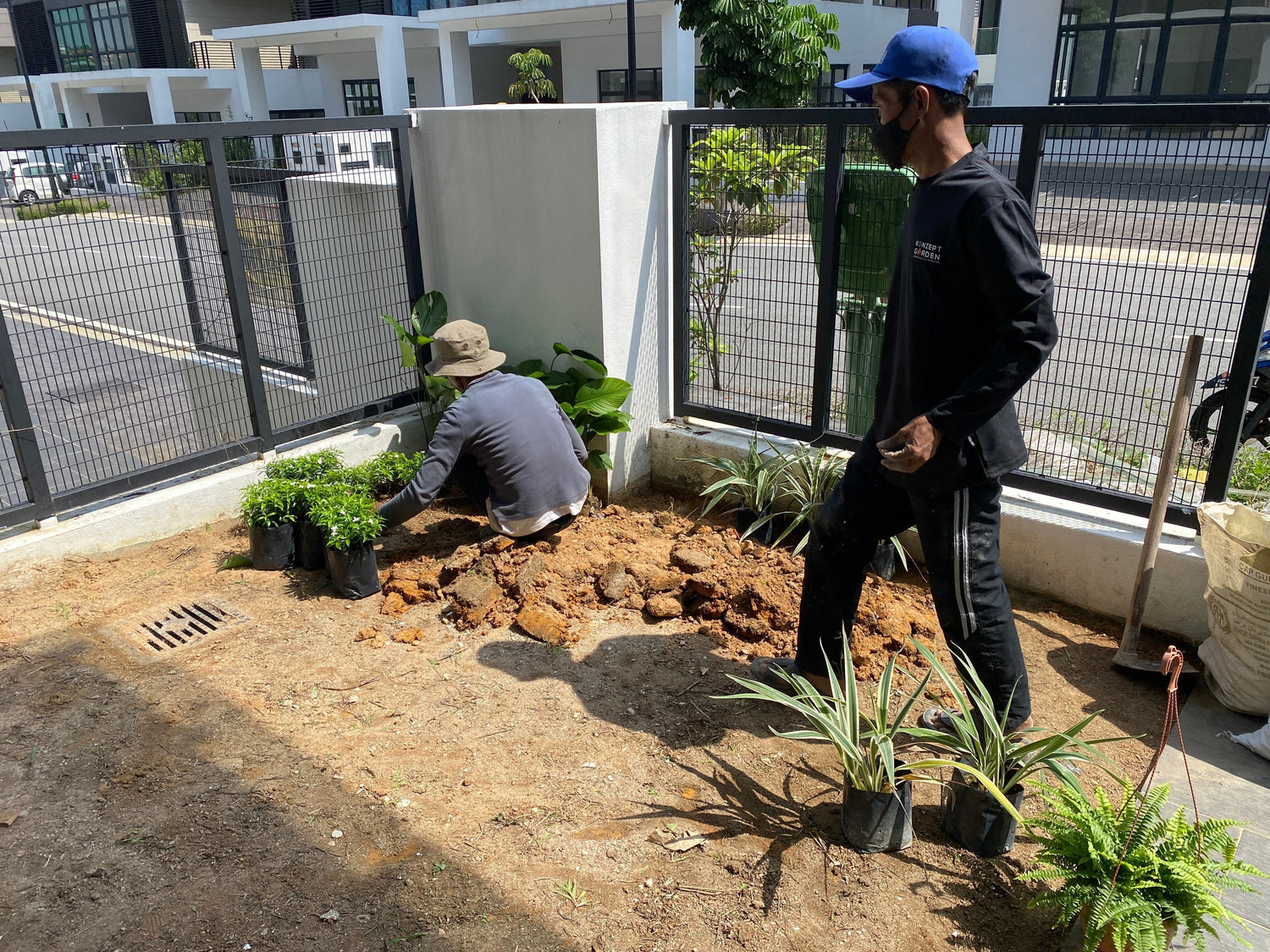 Easy Maintenance Garden Ideas for Busy Homeowners.