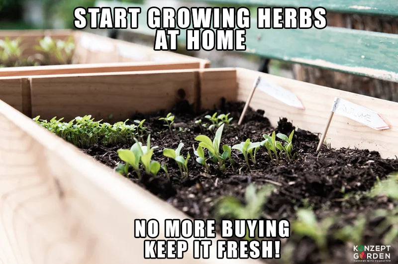 Start Your Own Herb Gardening.