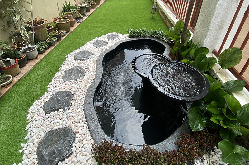 The Benefits of Koi Ponds in Your Landscape Design.