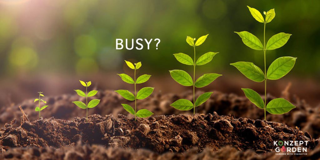 Gardening Low Maintenance For Busy Peeps….