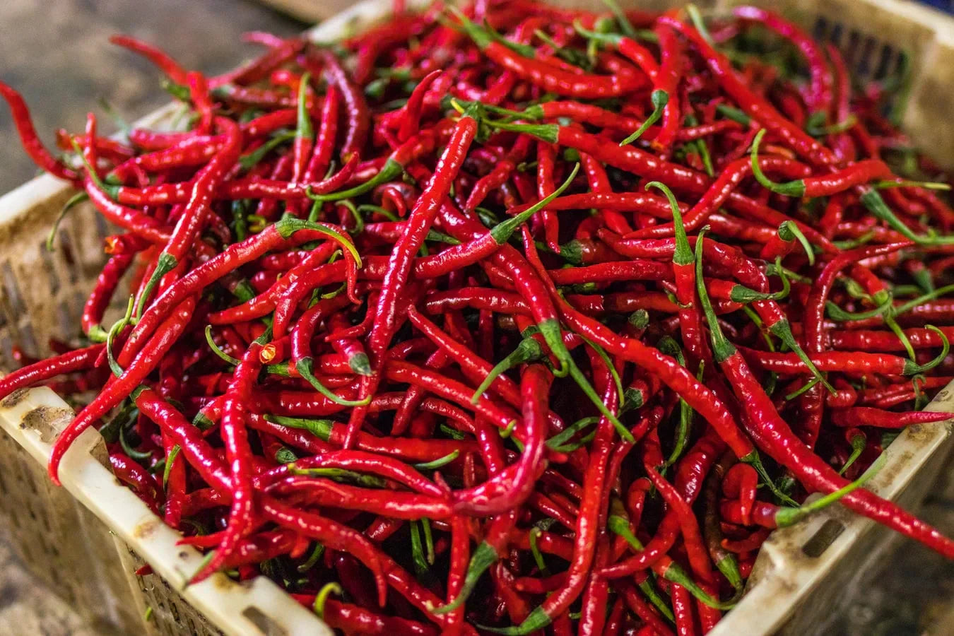 Grow your own Chilli Peppers.