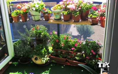 Let’s Design A Tiny Balcony.