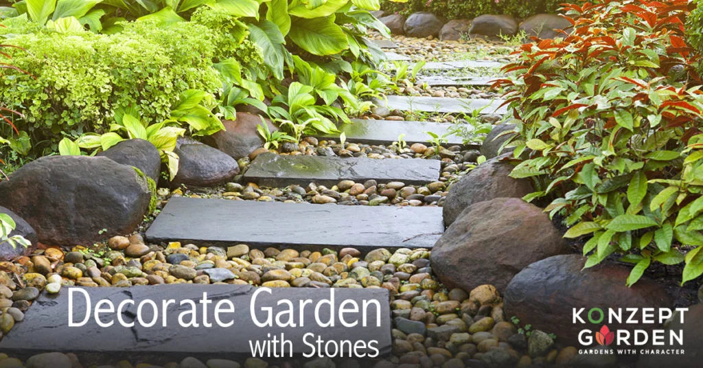 How Can Stones Help Your Garden?.