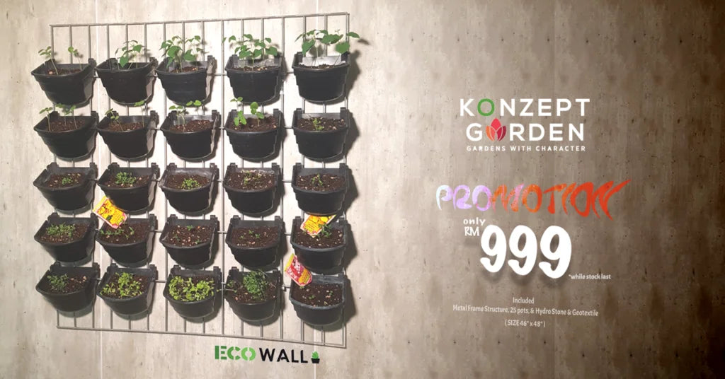 How to Grow Your Herbs In A Container pots?.