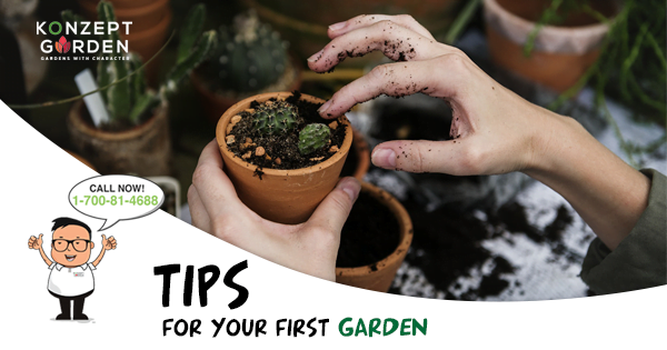 Gardens For Your Tips.