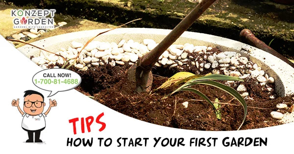 How To Start Your First Plant Garden.
