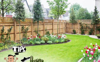 Basic Elements Of Landscape You Need To Know.