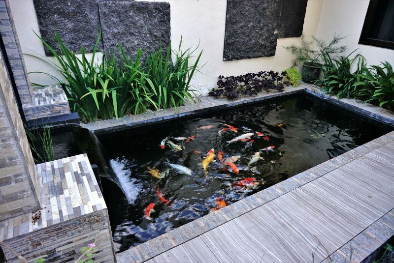 How to Design a Garden with a Fish Pond | Fish Pond Design Ideas.