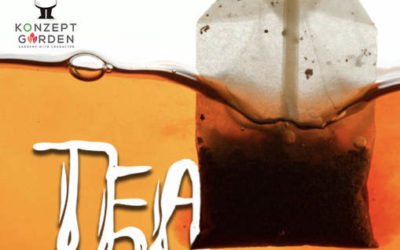 Don’t Toss Your Used Tea Bags.