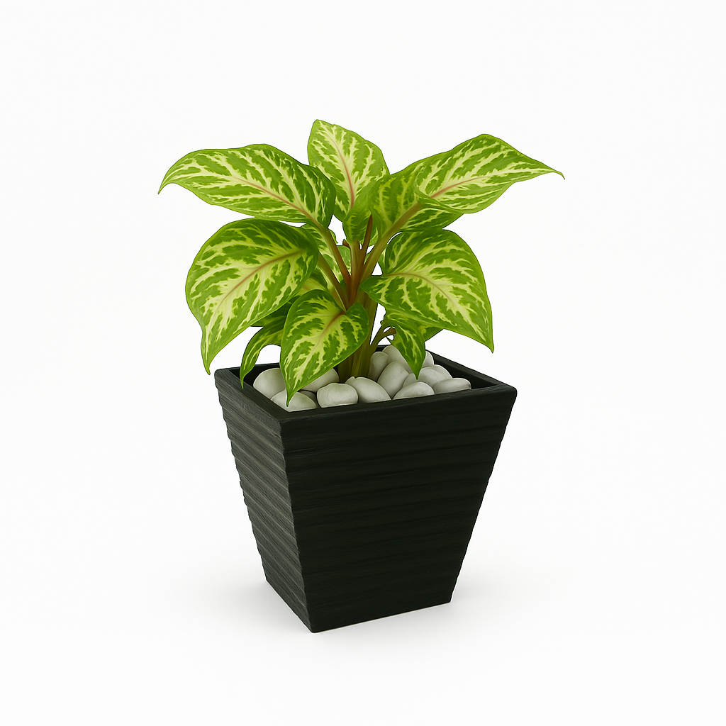 Ziant Hydro Planters ZP001 XS (PROMOTION).
