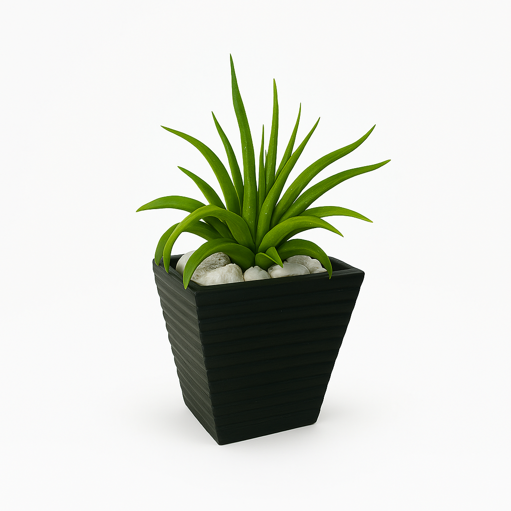 Ziant Hydro Planters ZP001 XS (PROMOTION).