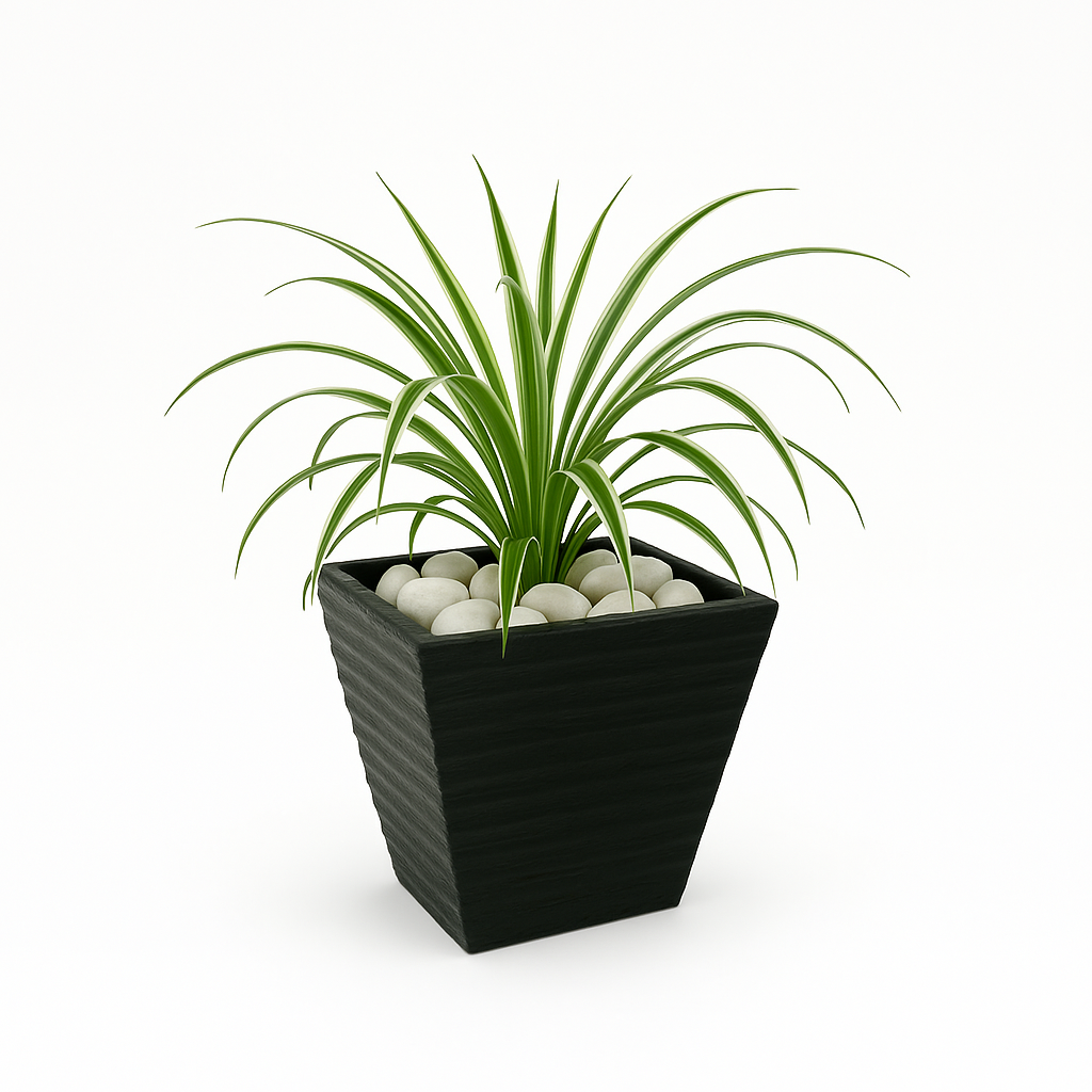 Ziant Hydro Planters ZP001 XS (PROMOTION).