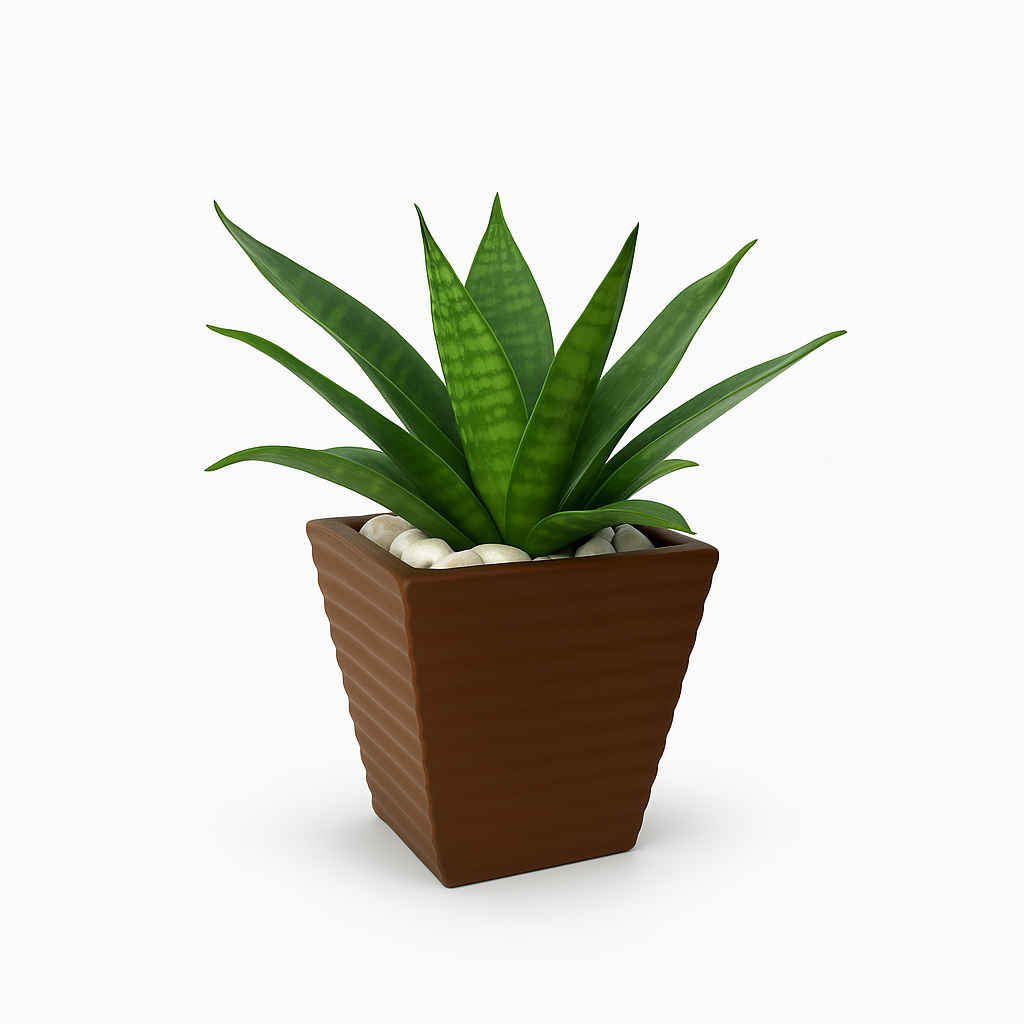 Ziant Hydro Planters ZP001 XS (PROMOTION).