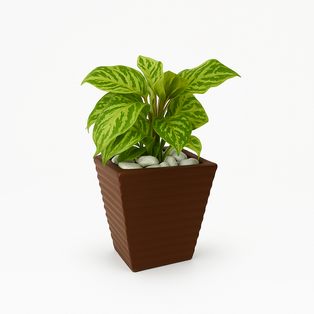 Ziant Hydro Planters ZP001 XS (PROMOTION).