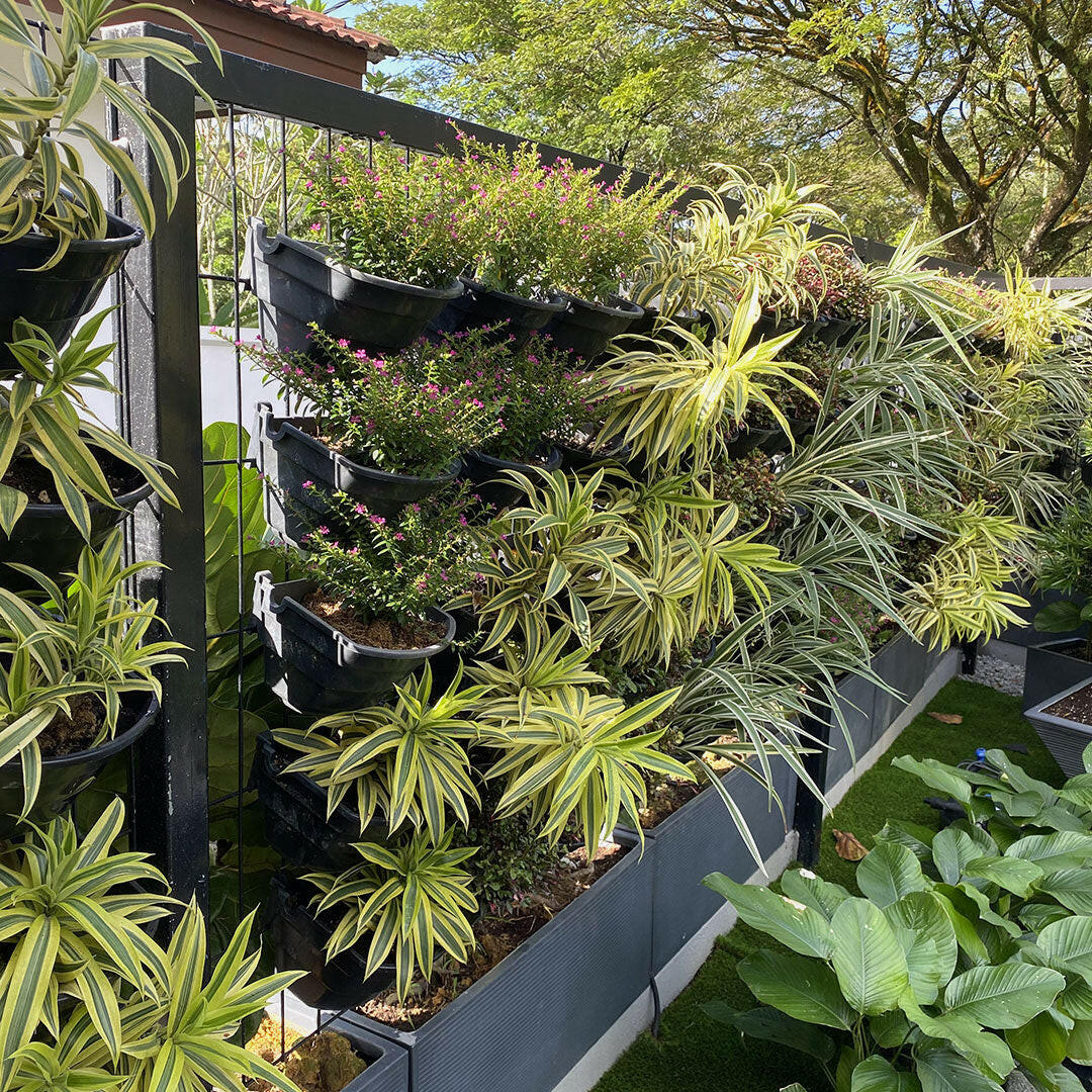 EcoWall Mini Set Vertical Garden with Frame Holder and Smart pots.