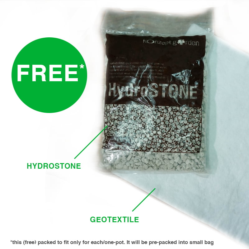 Snake Plant Superba Laurentii With Pot.