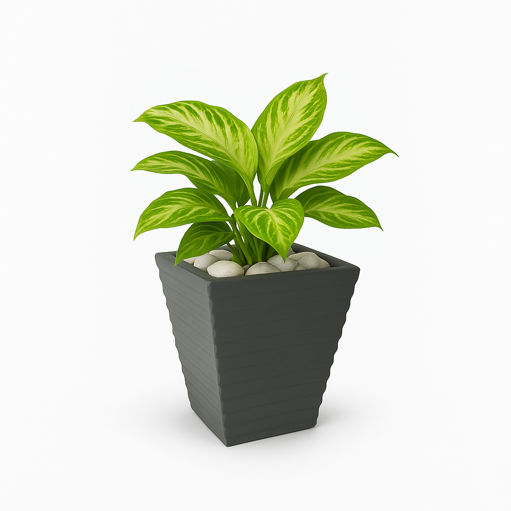Ziant Hydro Planters ZP001 XS (PROMOTION).