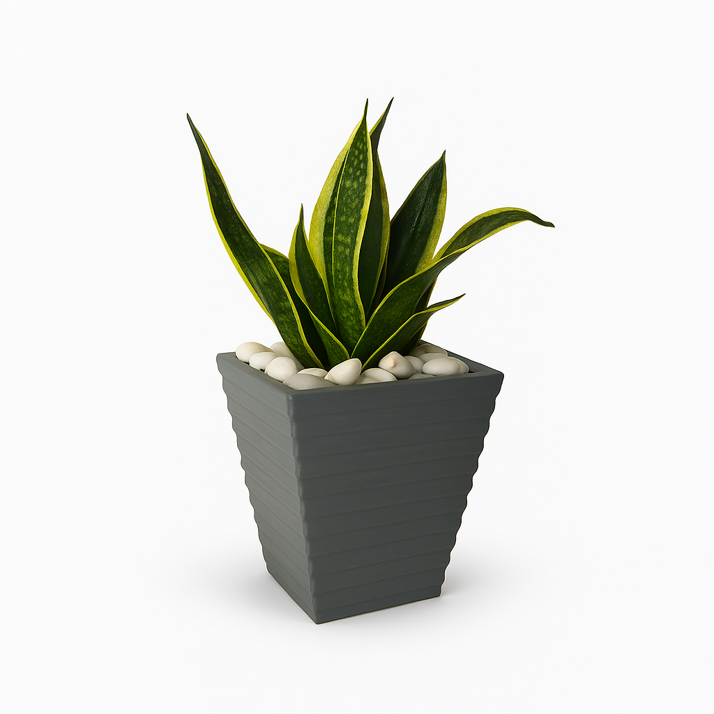 Ziant Hydro Planters ZP001 XS (PROMOTION).