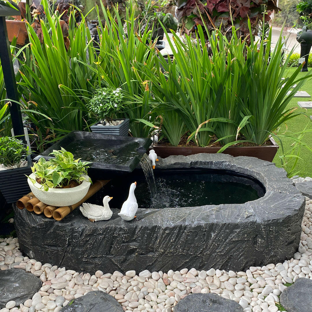 Himalaya Rock Fish Pond Mini.