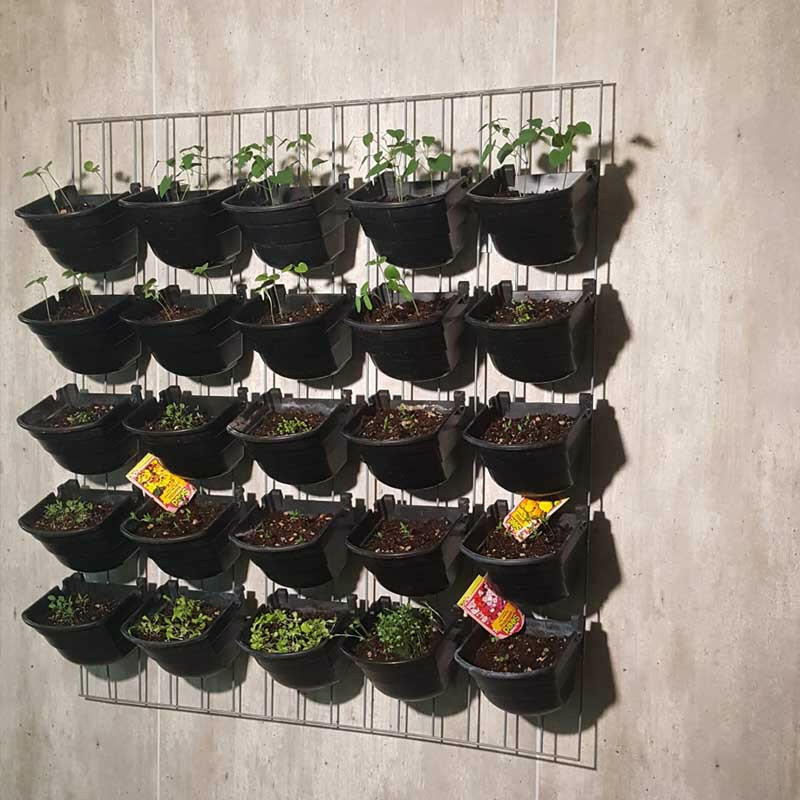 EcoWall Package Promotion.