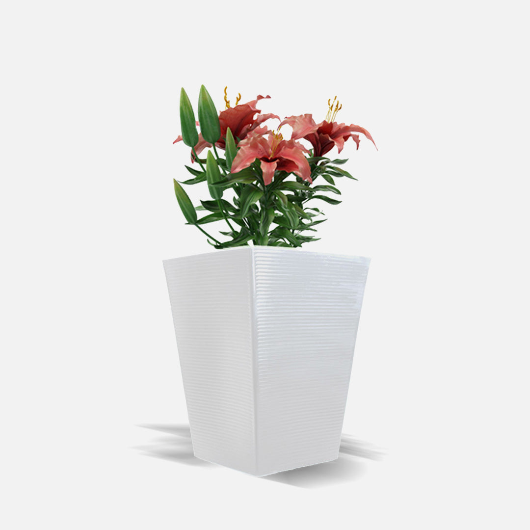 Ziant Hydro Planter ZP001 M-L Planter Box.