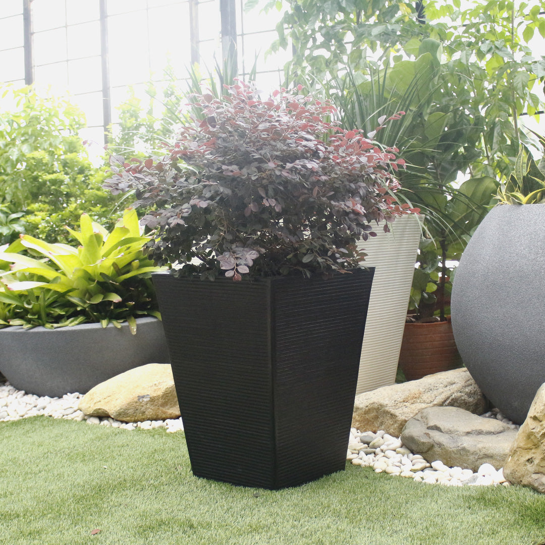 Ziant Hydro Planter ZP001 M-L Planter Box.