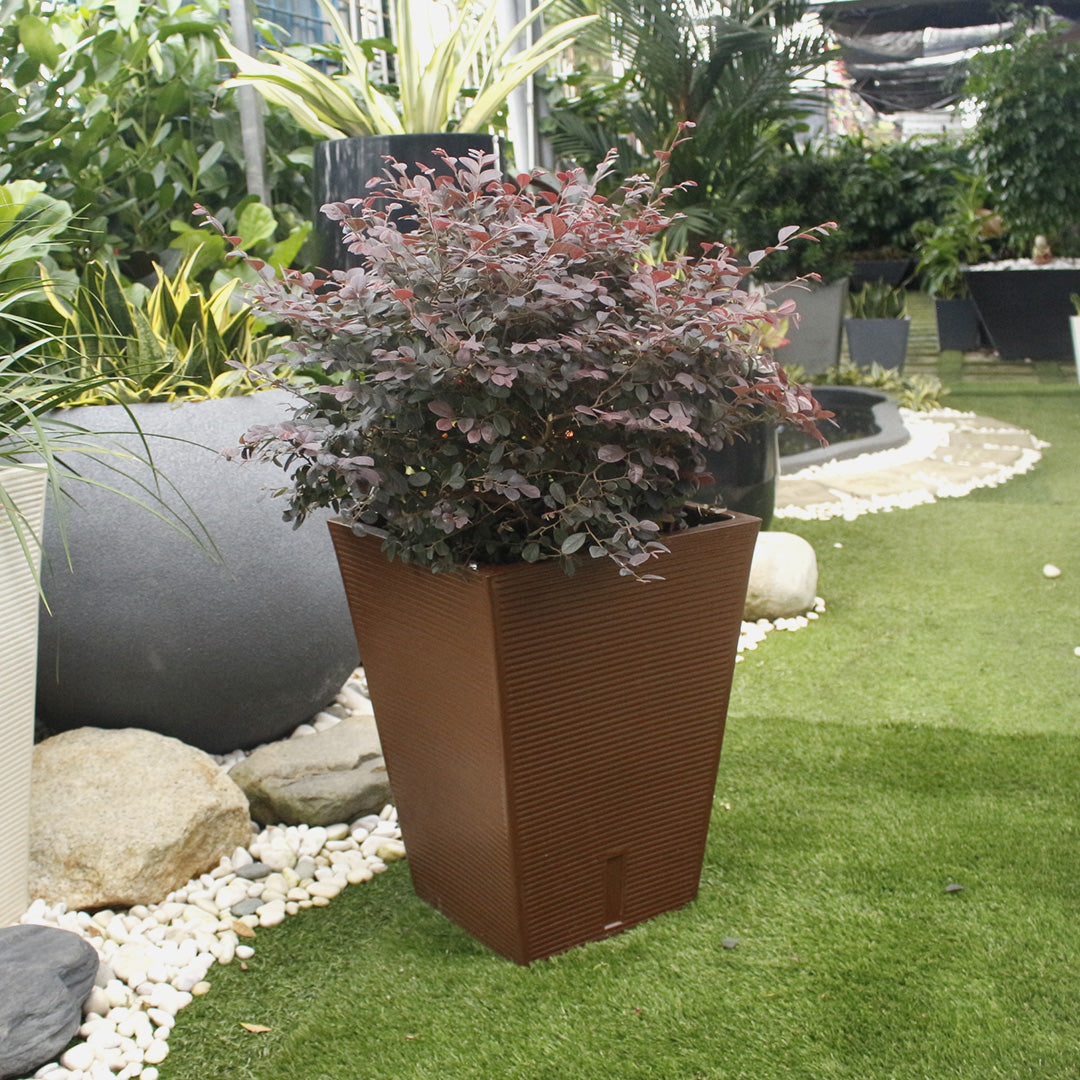 Ziant Hydro Planter ZP001 M-L Planter Box.