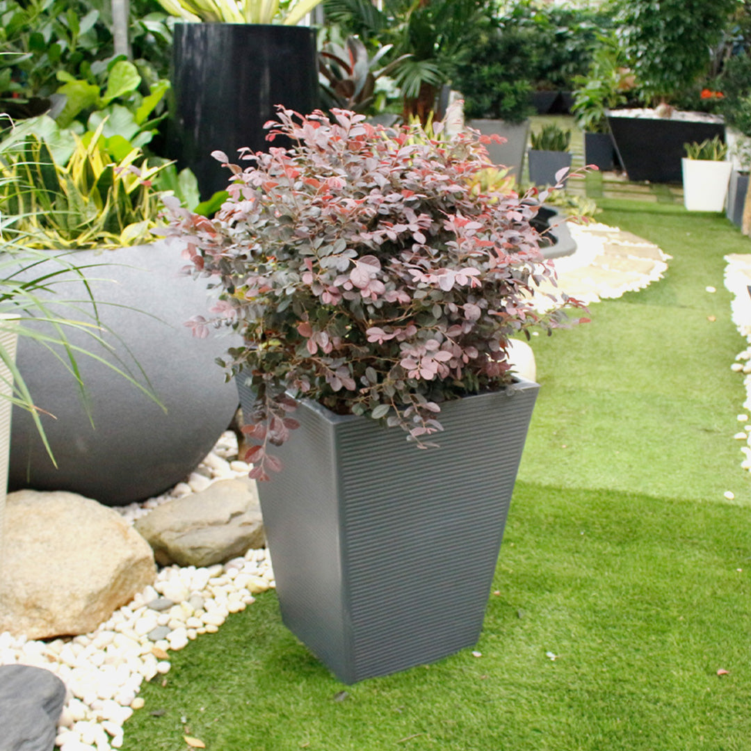 Ziant Hydro Planter ZP001 M-L Planter Box.