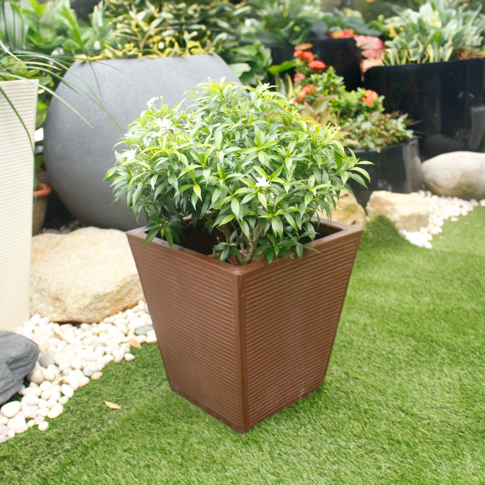 Ziant Hydro Planter ZP001 S Planter Box.