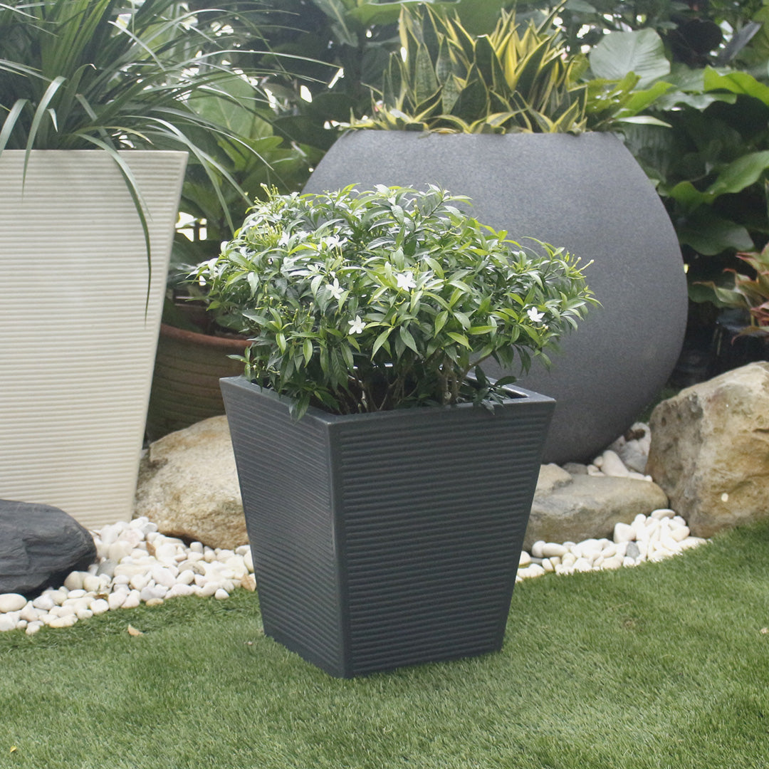 Ziant Hydro Planter ZP001 S Planter Box.