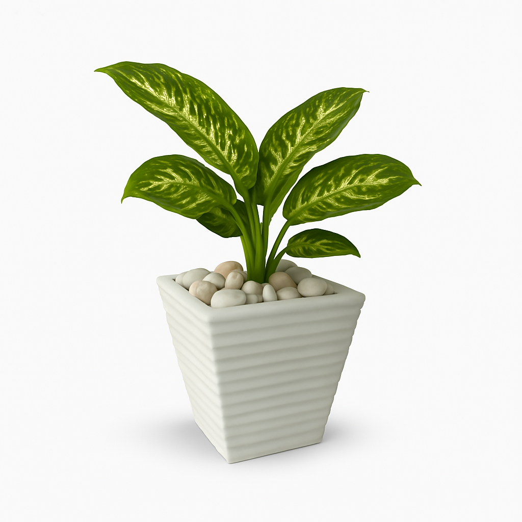 Ziant Hydro Planters ZP001 XS (PROMOTION).