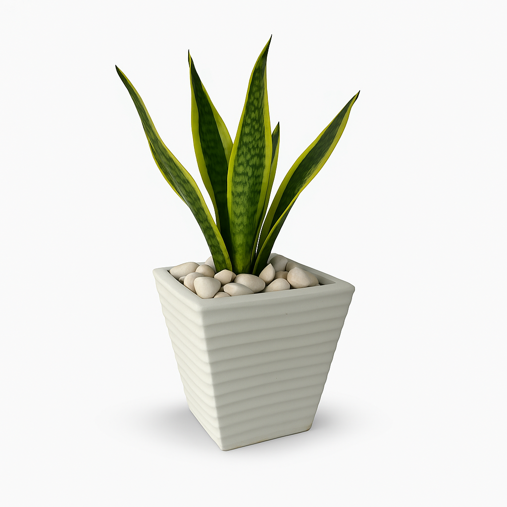 Ziant Hydro Planters ZP001 XS (PROMOTION).