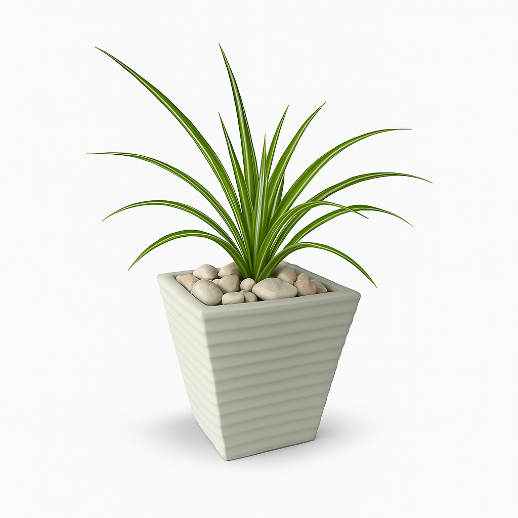 Ziant Hydro Planters ZP001 XS (PROMOTION).