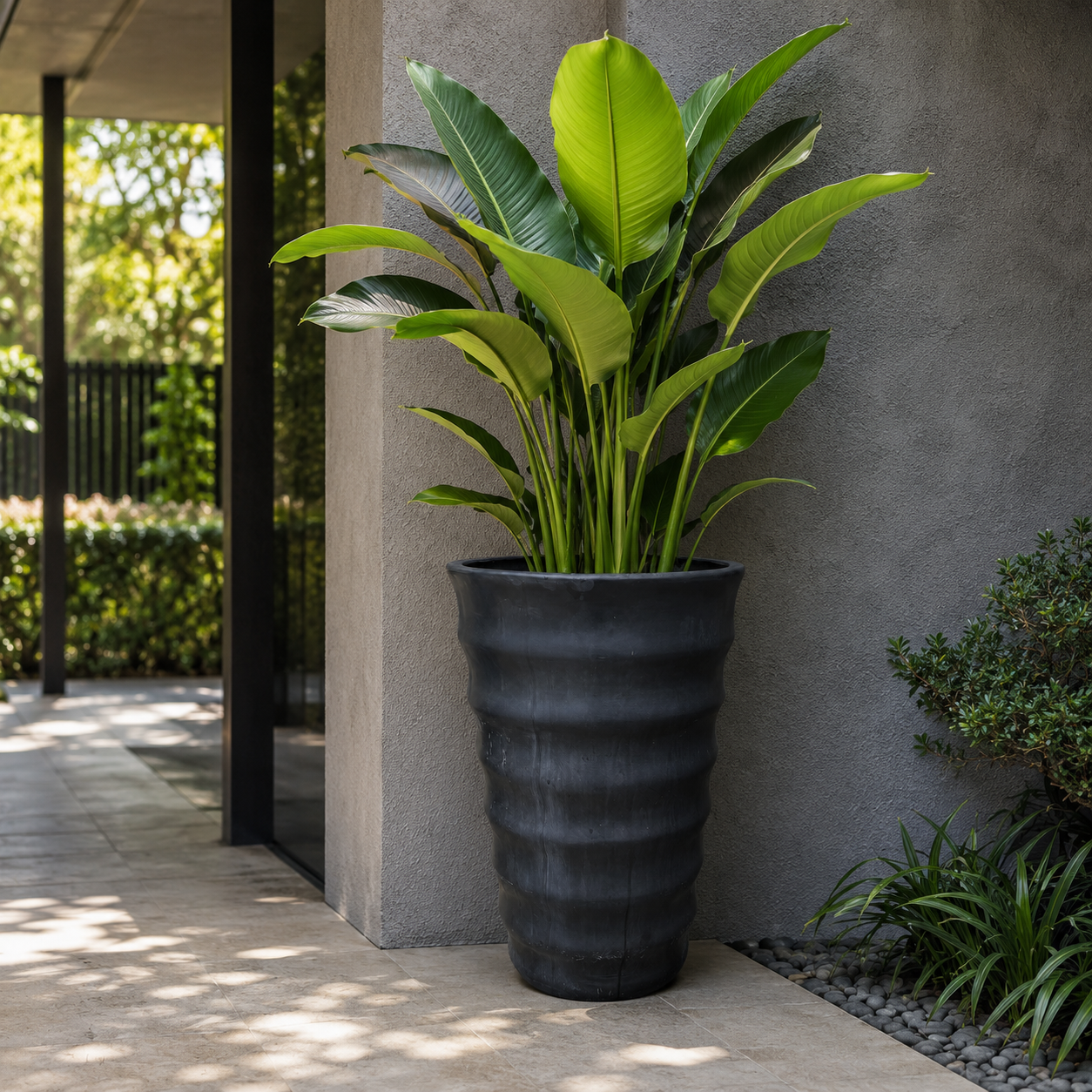 Ziant Hydro Planter 004 XL (FG)