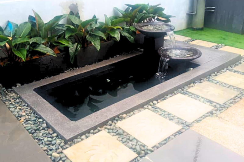 Zen Bio Goldfish Pond 1.