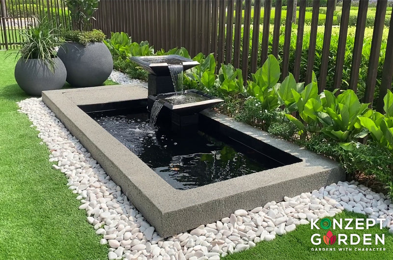 Zen Bio Koi Pond 1