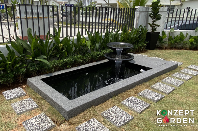Zen Bio Goldfish Pond 1