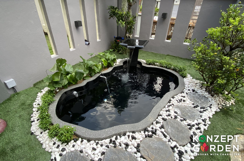 Zen Bio Natural Koi Pond 2