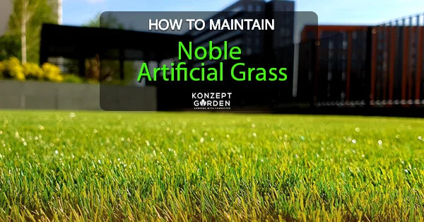 How To Maintain Noble Artificial Grass?