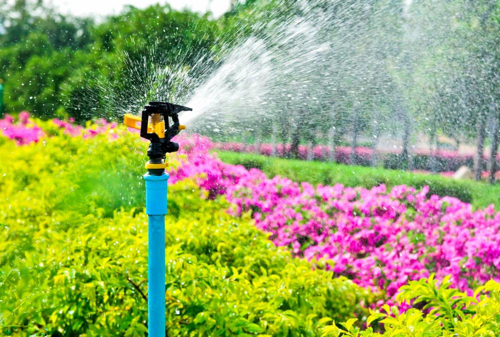 5 Benefits of Using Ziant Hydro Planters for Your Home or Office Garden