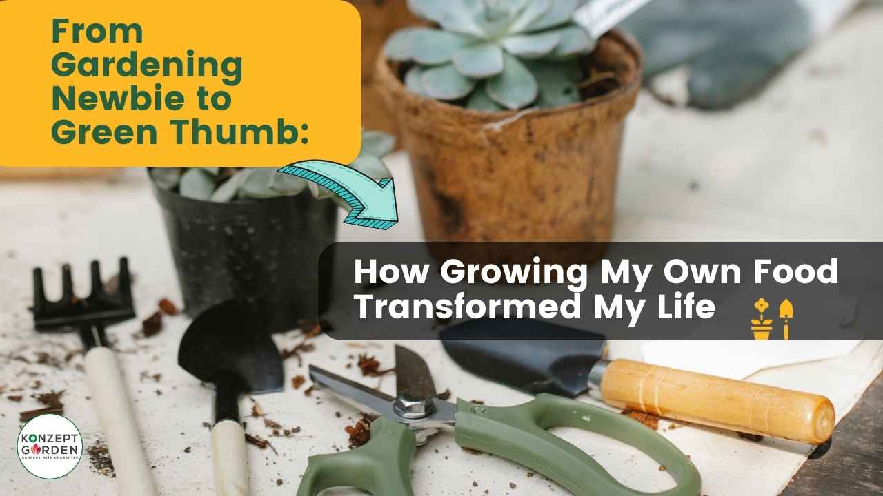 From Gardening Newbie to Green Thumb: How Growing My Own Food Transformed My Life