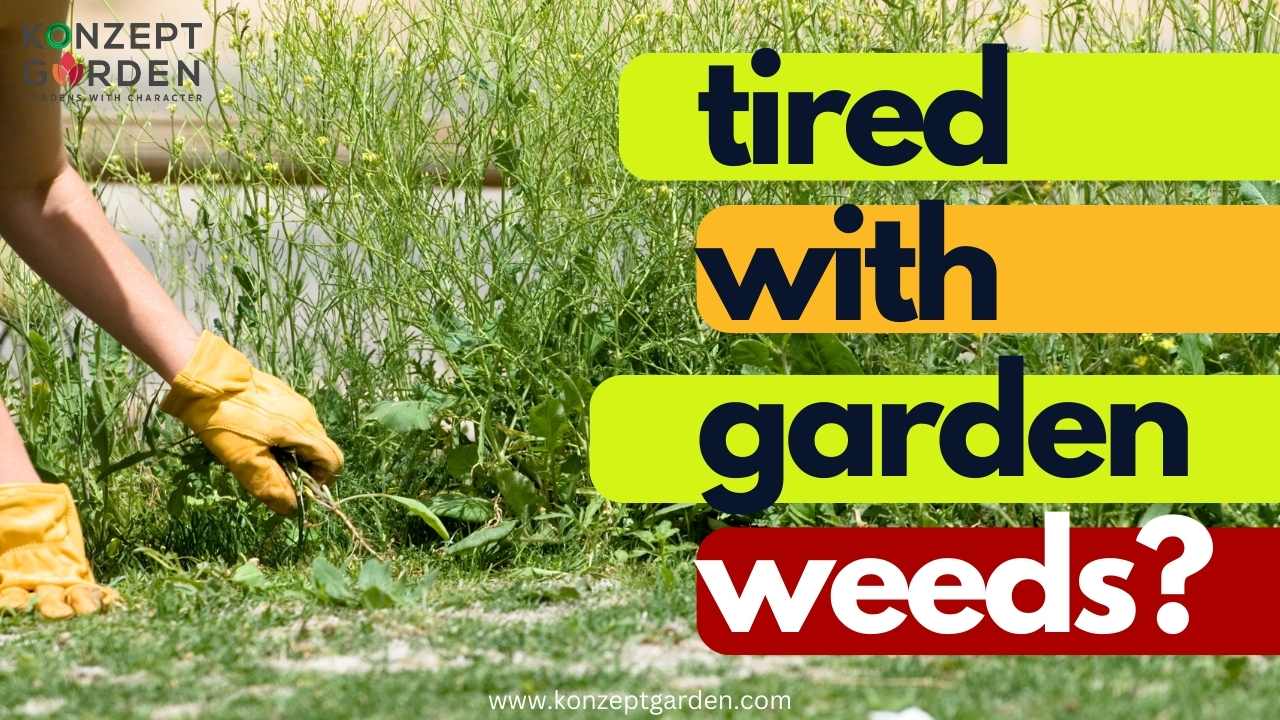 How to Reduce Weeds in Your Garden?