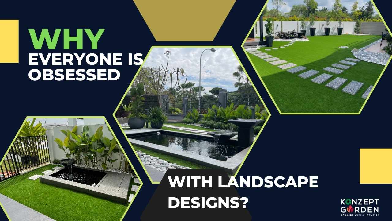 Why Everyone is Obsessed With Landscape Designs?