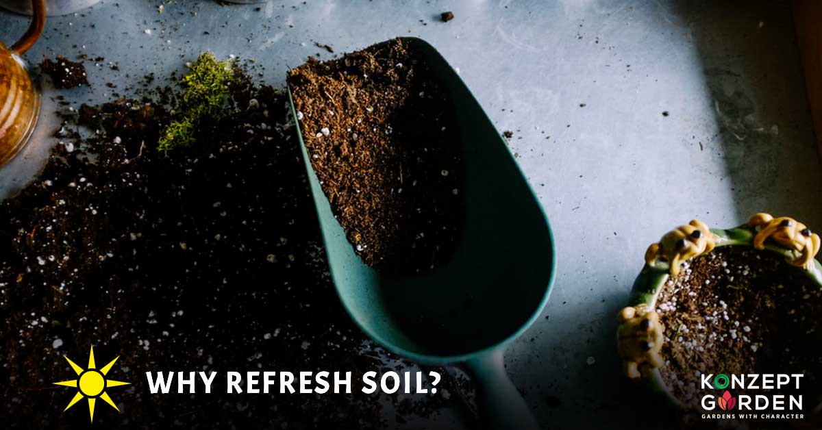 How and Why Refresh Soil？