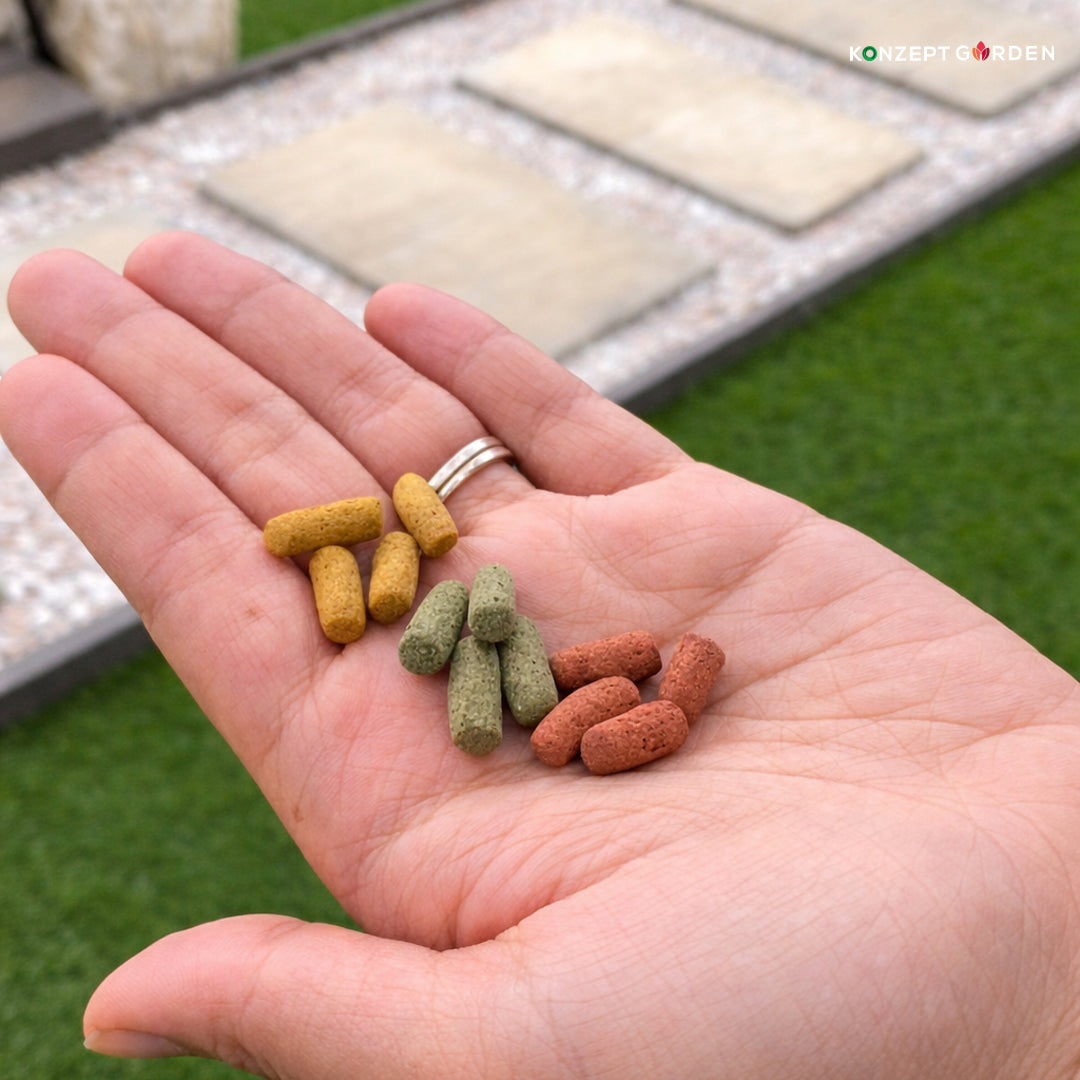 Three Color Koi Carp Feed By Inch Gold