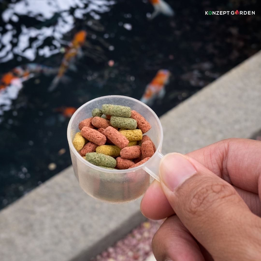 Three Color Koi Carp Feed By Inch Gold