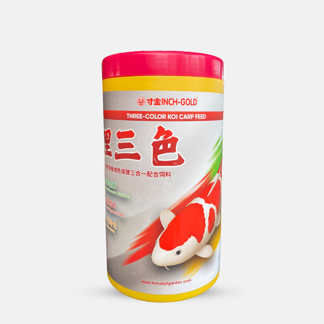 Three Color Koi Carp Feed By Inch Gold
