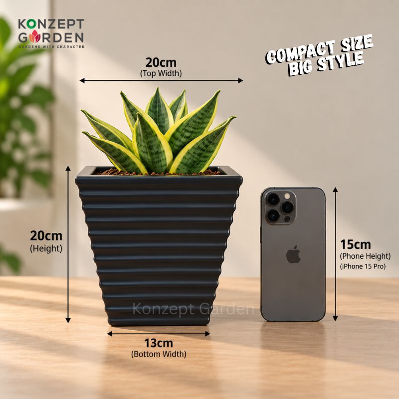 Mini Self-Watering Desk Plant with Live Indoor Plant