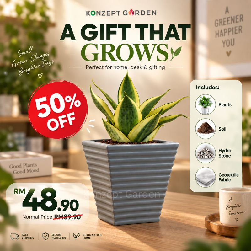 Mini Self-Watering Desk Plant with Live Indoor Plant