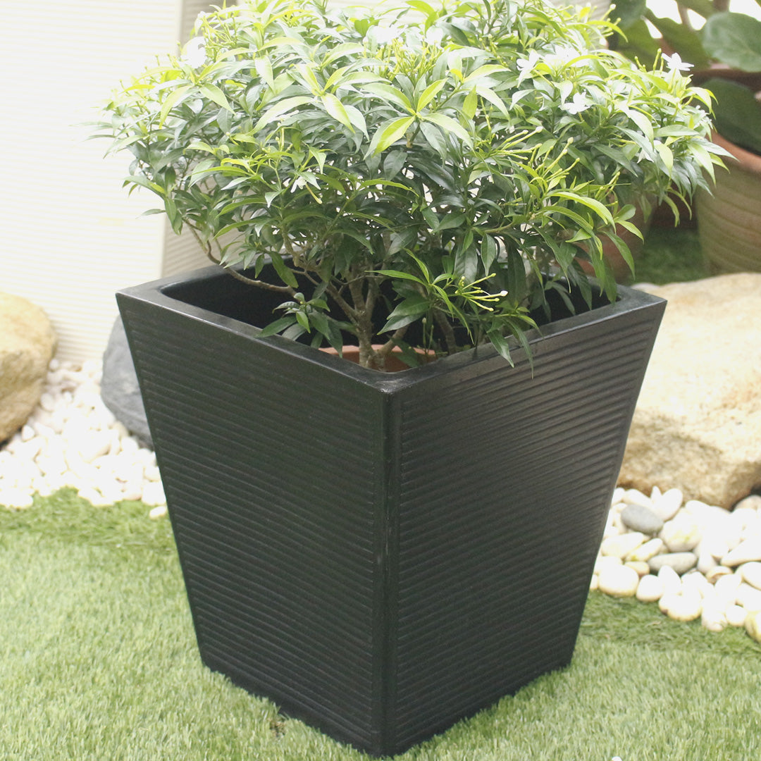 Ziant Hydro Planter ZP001 S Planter Box